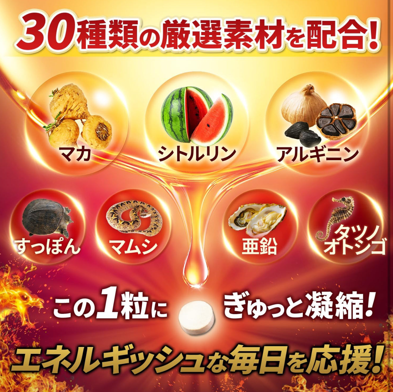 猛龍瑪卡🇯🇵Premium Max Power 強效版