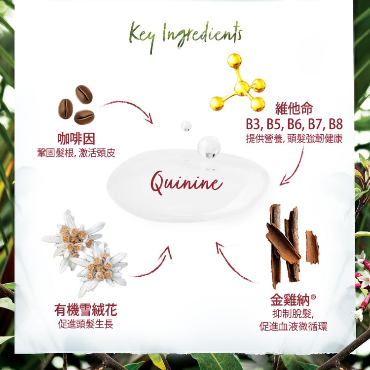 《預訂》Klorane金雞納及有機雪絨花防脫育髮精華100毫升 男女可用