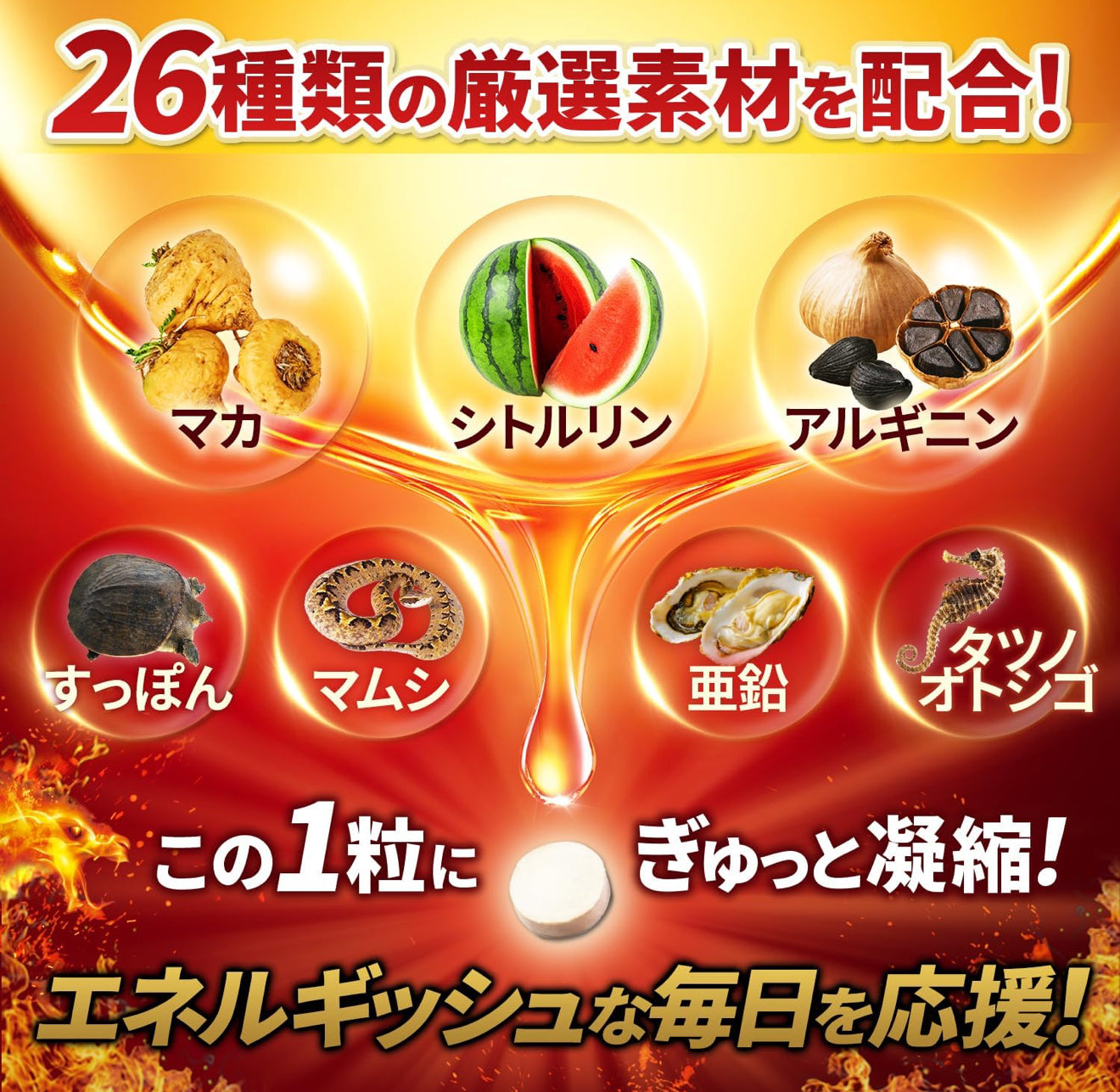 🔥皇牌神級 猛龍瑪卡🇯🇵極速壯陽 加硬延時 回購率99%