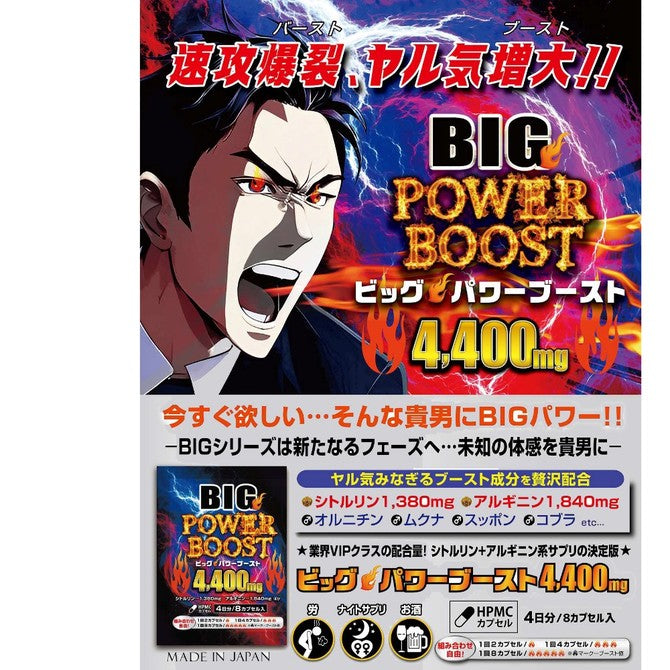 日本源氣堂 BIG Power Boost