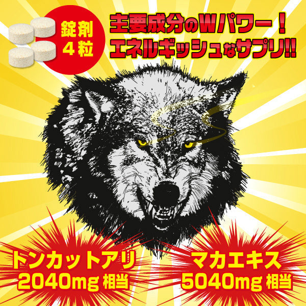 夜狼 馬卡x東革阿里 活力丸