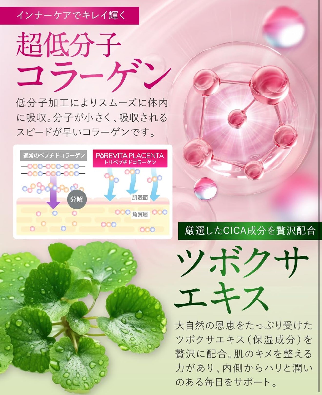 店主自用🌟Pure Vita Placenta 胎盤素 女士抗衰老 美顏 細胞增生修復