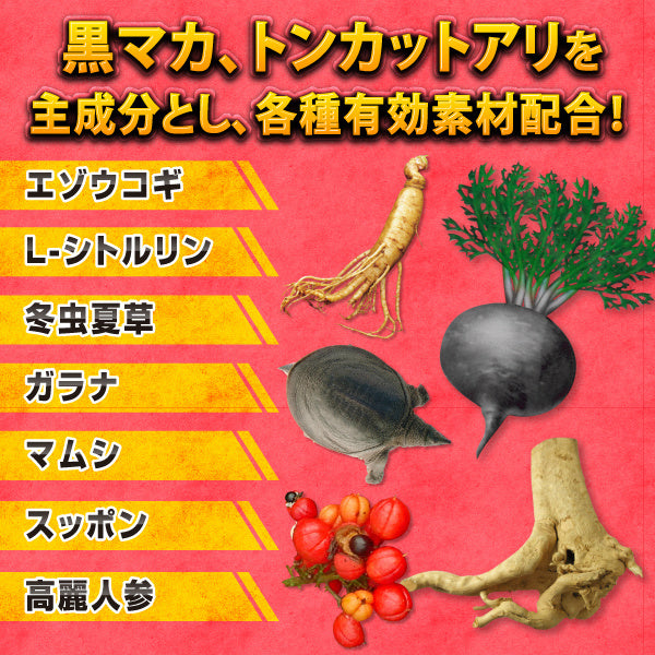 ICHIKI燃燒的夜狼 藥丸+口服液