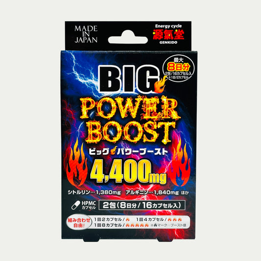 日本源氣堂 BIG Power Boost 壯陽助勃