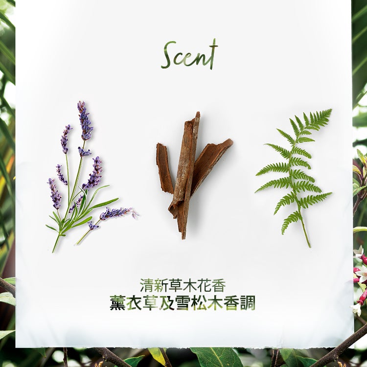 《預訂》Klorane金雞納及有機雪絨花防脫育髮精華100毫升 男女可用